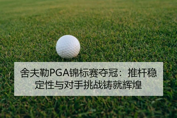 she-fu-lei-jin-biao-sai-duo-guan-tui-gan-wen-ding-xing-yu-dui-shou-tiao-zhan-zhu-jiu-hui-huang-2-106.jpg