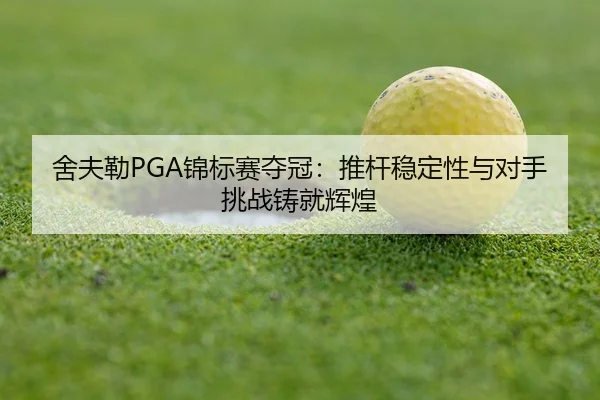 she-fu-lei-jin-biao-sai-duo-guan-tui-gan-wen-ding-xing-yu-dui-shou-tiao-zhan-zhu-jiu-hui-huang-3-405.jpg