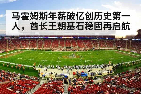 NFL football stadium action
